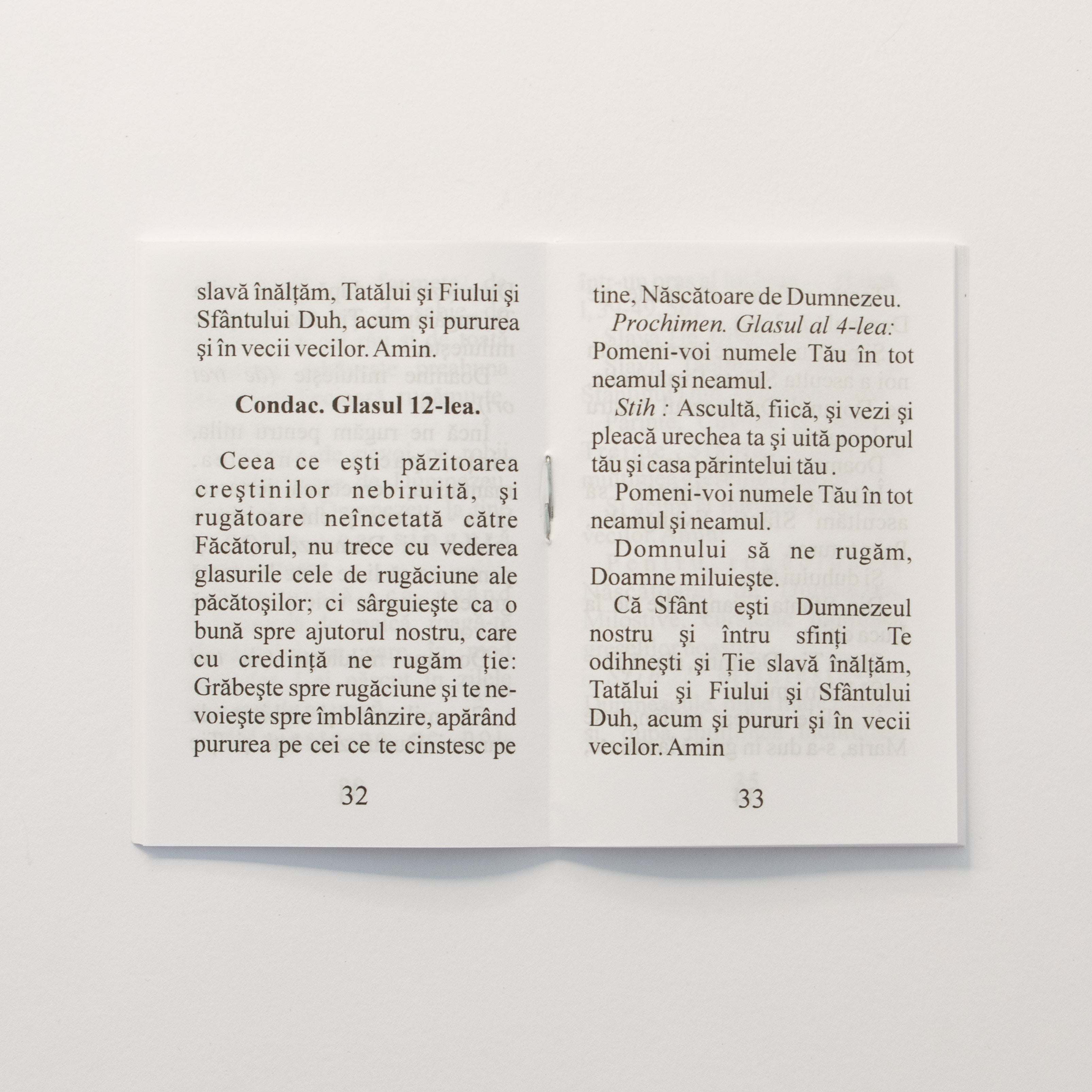 Paraclisul către Icoana făcătoare de minuni a Maicii Domnului numită „Mângâietoarea”